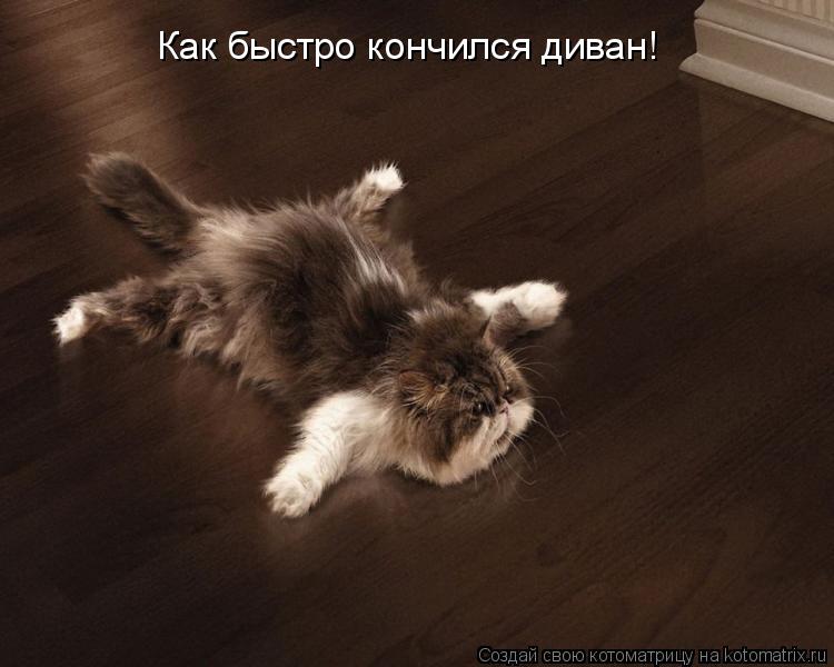 Как быстро кончился диван!... Котоматрица: Как быстро кончился диван!