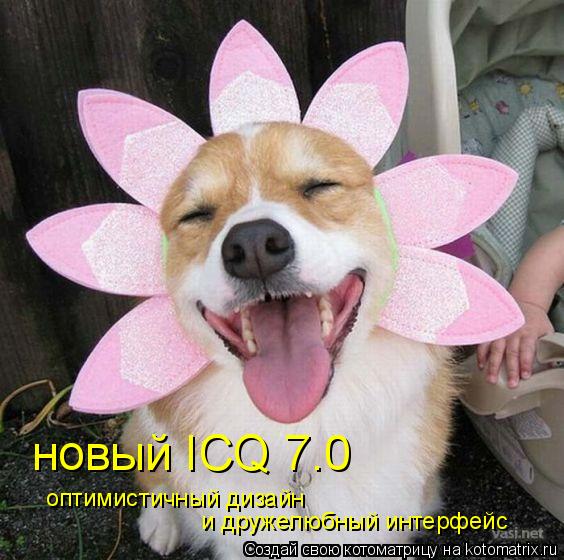 Котоматрица: новый ICQ 7.0 оптимистичный дизайн и дружелюбный интерфейс