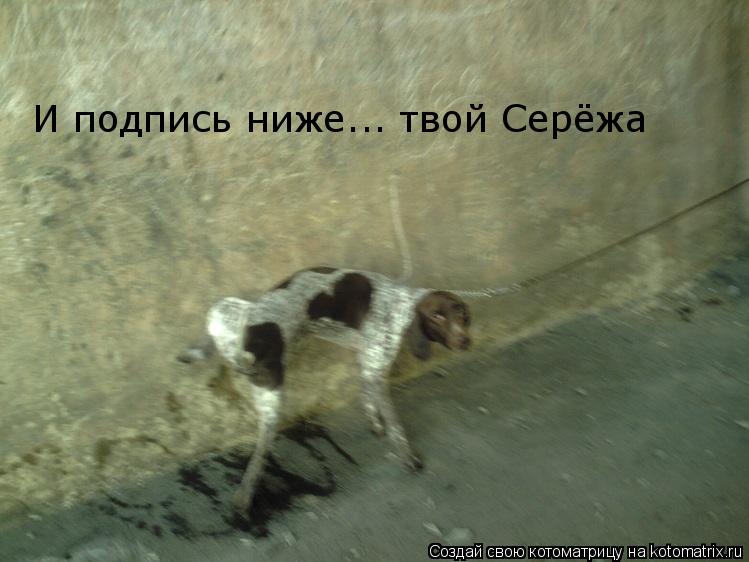 И подпись ниже... твой Серёжа... Котоматрица: И подпись ниже... твой Серёжа