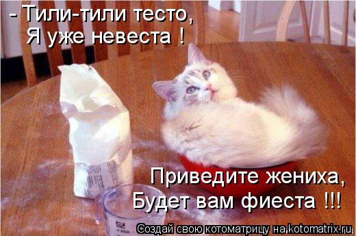 - Тили-тили тесто, Я уже невеста ! Приведите жениха, Будет вам фиеста !!!... Котоматрица: - Тили-тили тесто, Я уже невеста ! Приведите жениха, Будет вам фиеста !!!