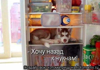 - Хочу назад к чукчам!... Котоматрица: - Хочу назад к чукчам!