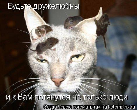Котоматрица: Будьте дружелюбны и к Вам потянутся не только люди