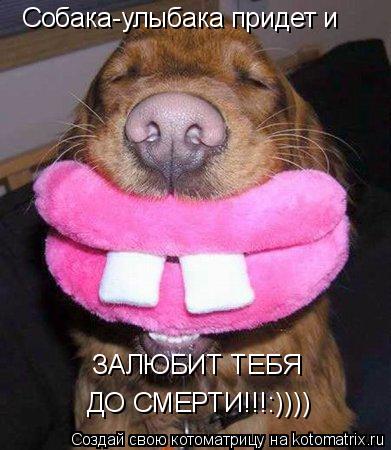 Котоматрица: Собака-улыбака придет и ЗАЛЮБИТ ТЕБЯ  ДО СМЕРТИ!!!:))))