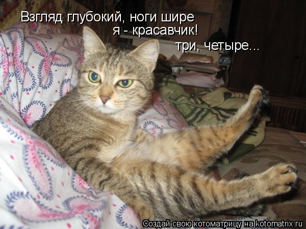 Котоматрица: Взгляд глубокий, ноги шире я - красавчик! три, четыре...
