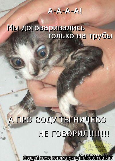 Котоматрица: А-А-А-А! Мы договаривались только на трубы А ПРО ВОДУ ТЫ НИЧЕВО НЕ ГОВОРИЛ!!!!!!!