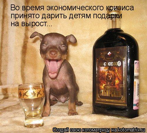 Котоматрица: Во время экономического кризиса принято дарить детям подарки на вырост...