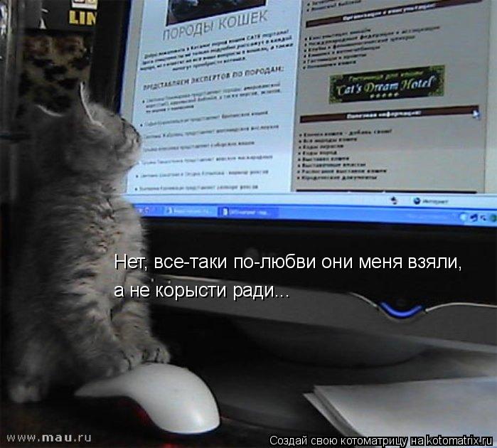 Нет, все-таки по-любви они меня взяли, а не корысти ради...... Котоматрица: Нет, все-таки по-любви они меня взяли, а не корысти ради...
