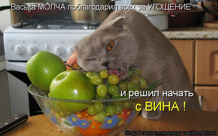 Васька МОЛЧА поблагодарил всех за УГОЩЕНИЕ и решил начать с ВИНА !... Котоматрица: Васька МОЛЧА поблагодарил всех за УГОЩЕНИЕ и решил начать с ВИНА !