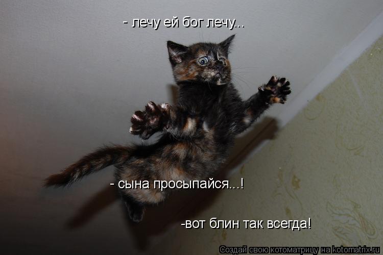 Котоматрица: лечу ей бог лечу... сына просыпайся...! -вот блин так всегда! - -