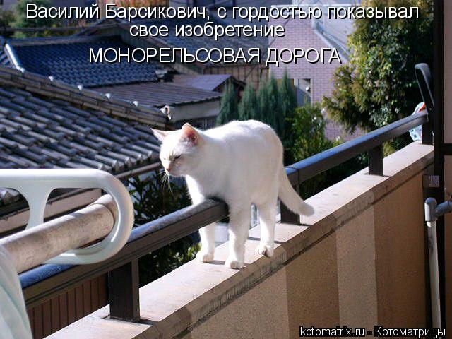 Котоматрица: Василий Барсикович, с гордостью показывал свое изобретение МОНОРЕЛЬСОВАЯ ДОРОГА