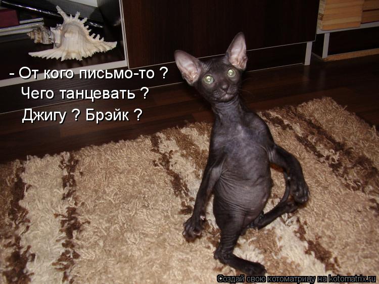 Котоматрица: - От кого письмо-то ? Чего танцевать ? Джигу ? Брэйк ?