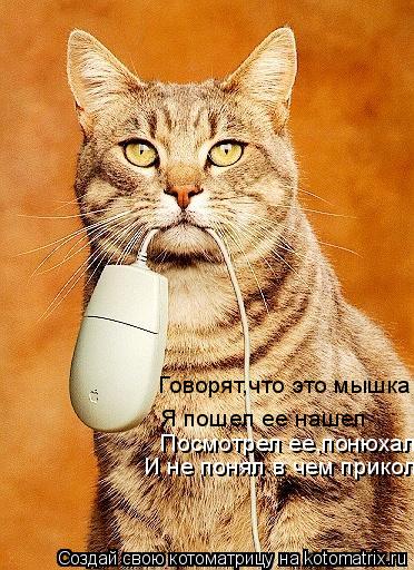 Говорят,что это мышка Я пошел ее нашел Посмотрел ее,понюхал И не понял в чем прикол... Котоматрица: Говорят,что это мышка Я пошел ее нашел Посмотрел ее,понюхал И не понял в чем прикол