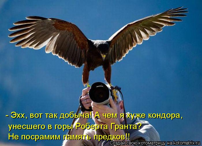 - Эхх, вот так добыча! А чем я хуже кондора, унесшего в горы Роберта Гранта? Не посрамим память пред... Котоматрица: - Эхх, вот так добыча! А чем я хуже кондора, унесшего в горы Роберта Гранта? Не посрамим память предков!!