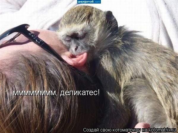 мммммммм, деликатес!... Котоматрица: мммммммм, деликатес!