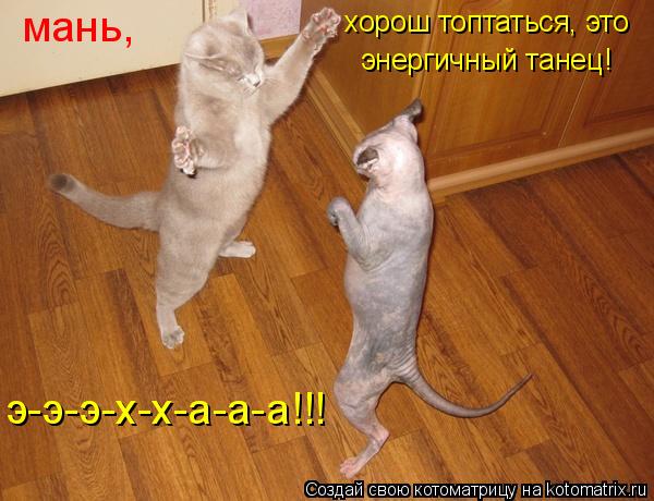 мань, хорош топтаться, это энергичный танец! э-э-э-х-х-а-а-а!!!... Котоматрица: мань, хорош топтаться, это энергичный танец! э-э-э-х-х-а-а-а!!!