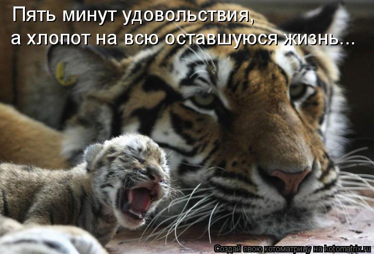 Пять минут удовольствия, а хлопот на всю оставшуюся жизнь...... Котоматрица: Пять минут удовольствия, а хлопот на всю оставшуюся жизнь...