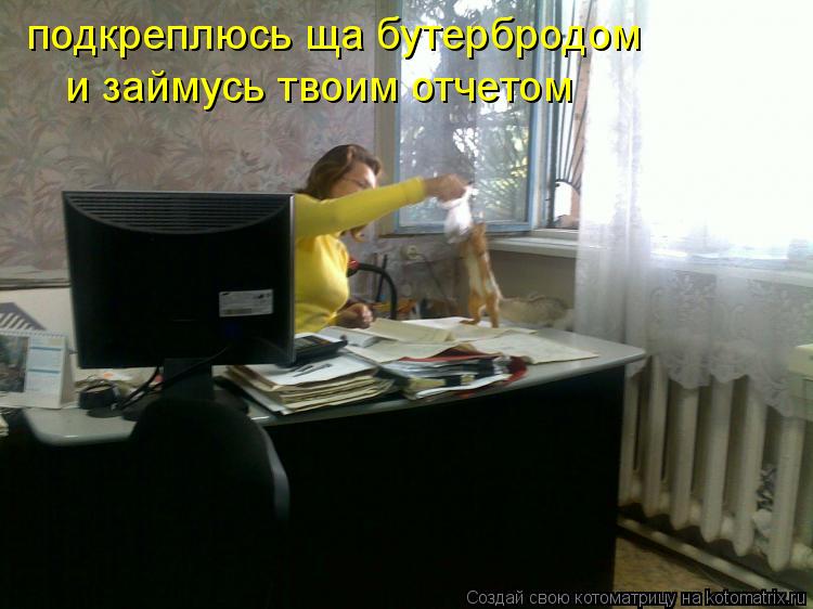 подкреплюсь ща бутербродом и займусь твоим отчетом... Котоматрица: подкреплюсь ща бутербродом и займусь твоим отчетом