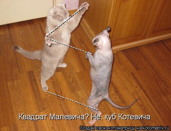 ---------------------- ------------------- ------------------- Квадрат Малевича? Не, куб Котевича... Котоматрица: ---------------------- ------------------- ------------------- Квадрат Малевича? Не, куб Котевича