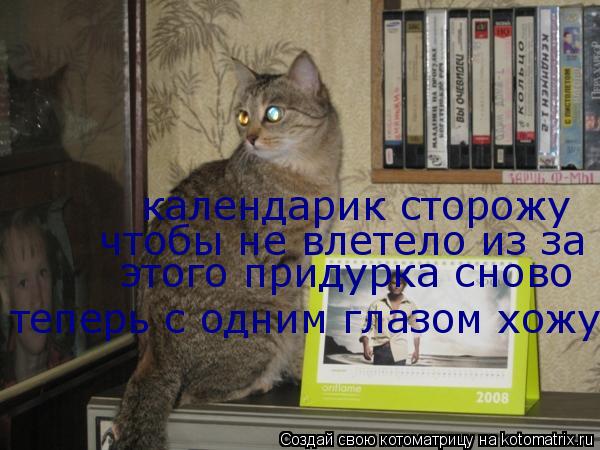 календарик сторожу чтобы не влетело из за этого придурка сново теперь с одним глазом хожу... Котоматрица: календарик сторожу чтобы не влетело из за этого придурка сново теперь с одним глазом хожу