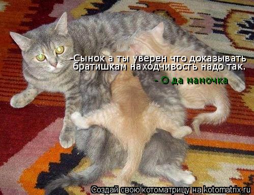 -Сынок а ты уверен что доказывать братишкам -Сынок а ты уверен что доказывать братишкам находчивость... Котоматрица: -Сынок а ты уверен что доказывать братишкам -Сынок а ты уверен что доказывать братишкам находчивость надо так. - О да мамочка