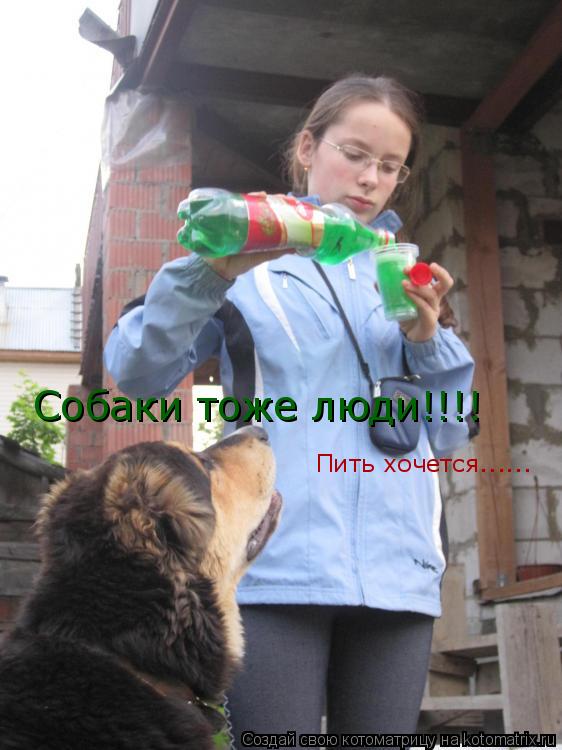 Собаки тоже люди!!!! Пить хочется......... Котоматрица: Собаки тоже люди!!!! Пить хочется......