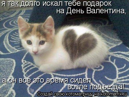 я так долго искал тебе подарок на День Валентина, а он все это время сидел возле подъезда!... Котоматрица: я так долго искал тебе подарок на День Валентина, а он все это время сидел возле подъезда!