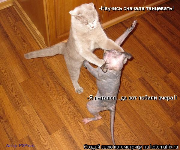 -Научись сначала танцевать! -Я пытался ..да вот побили вчера!! Автор- PSPkuki... Котоматрица: -Научись сначала танцевать! -Я пытался ..да вот побили вчера!! Автор- PSPkuki