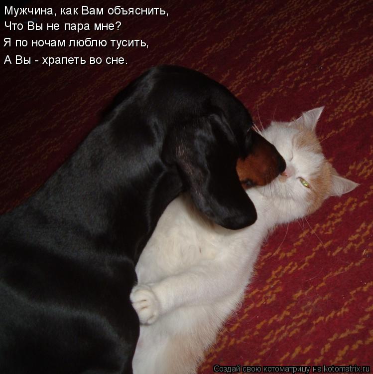 Мужчина, как Вам объяснить, Что Вы не пара мне? Я по ночам люблю тусить, А Вы - храпеть во сне.... Котоматрица: Мужчина, как Вам объяснить, Что Вы не пара мне? Я по ночам люблю тусить, А Вы - храпеть во сне.