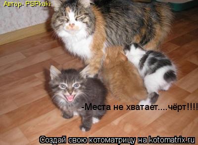 -Места не хватает....чёрт!!!! Автор- PSPkuki... Котоматрица: -Места не хватает....чёрт!!!! Автор- PSPkuki