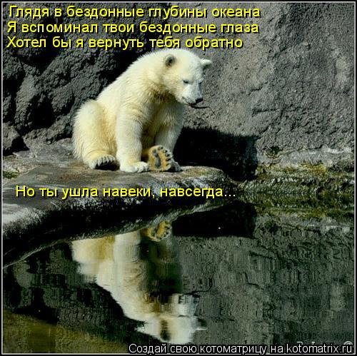 Глядя в бездонные глубины океана Я вспоминал твои бездонные глаза Хотел бы я вернуть тебя обратно Но ... Котоматрица: Глядя в бездонные глубины океана Я вспоминал твои бездонные глаза Хотел бы я вернуть тебя обратно Но ты ушла навеки, навсегда...
