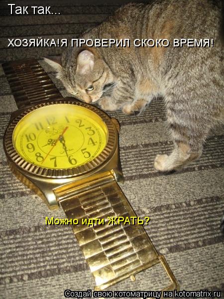 Так так... ХОЗЯЙКА!Я ПРОВЕРИЛ СКОКО ВРЕМЯ! Можно идти ЖРАТЬ?... Котоматрица: Так так... ХОЗЯЙКА!Я ПРОВЕРИЛ СКОКО ВРЕМЯ! Можно идти ЖРАТЬ?