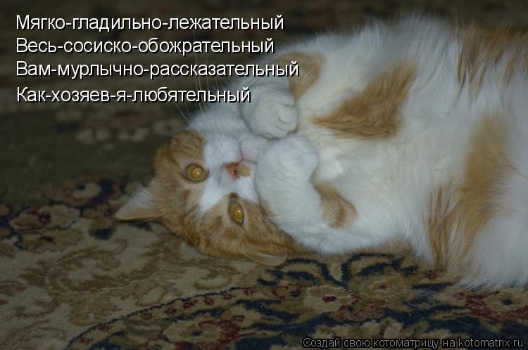 Мягко-гладильно-лежательный Весь-сосиско-обожрательный Вам-мурлычно-рассказательный Как-хозяев-я-любя... Котоматрица: Мягко-гладильно-лежательный Весь-сосиско-обожрательный Вам-мурлычно-рассказательный Как-хозяев-я-любятельный