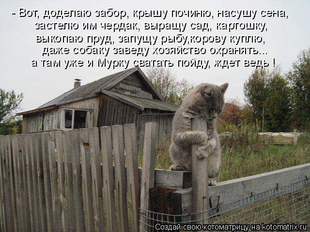 - Вот, доделаю забор, крышу починю, насушу сена, застелю им чердак, выращу сад, картошку, выкопаю пру... Котоматрица: - Вот, доделаю забор, крышу починю, насушу сена, застелю им чердак, выращу сад, картошку, выкопаю пруд, запущу рыбу,корову куплю, даже собаку з