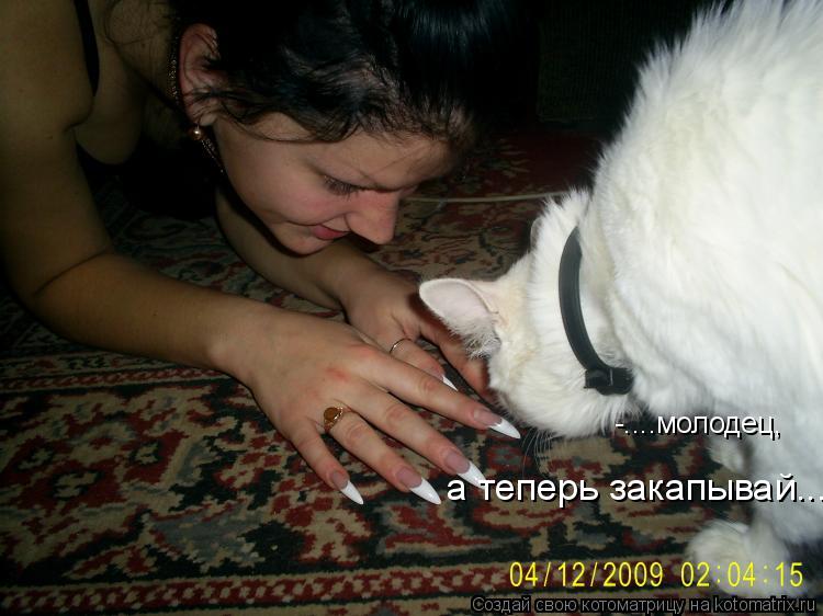 -....молодец, а теперь закапывай...... Котоматрица: -....молодец, а теперь закапывай...