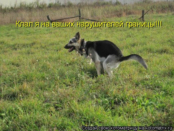 Клал я на ваших нарушителей границы!!!... Котоматрица: Клал я на ваших нарушителей границы!!!