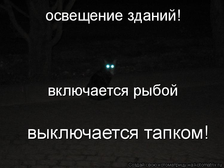 освещение зданий! включается рыбой выключается тапком!... Котоматрица: освещение зданий! включается рыбой выключается тапком!