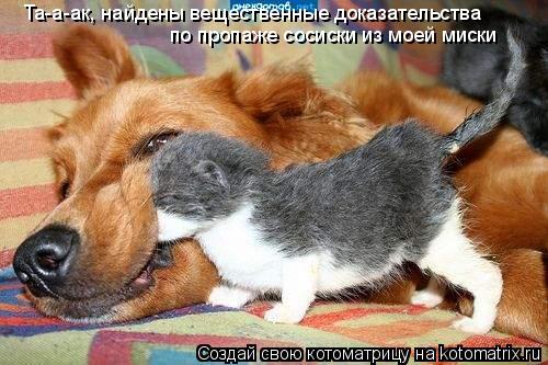 по пропаже сосиски из моей миски Та-а-ак, найдены вещественные доказательства... Котоматрица: по пропаже сосиски из моей миски Та-а-ак, найдены вещественные доказательства