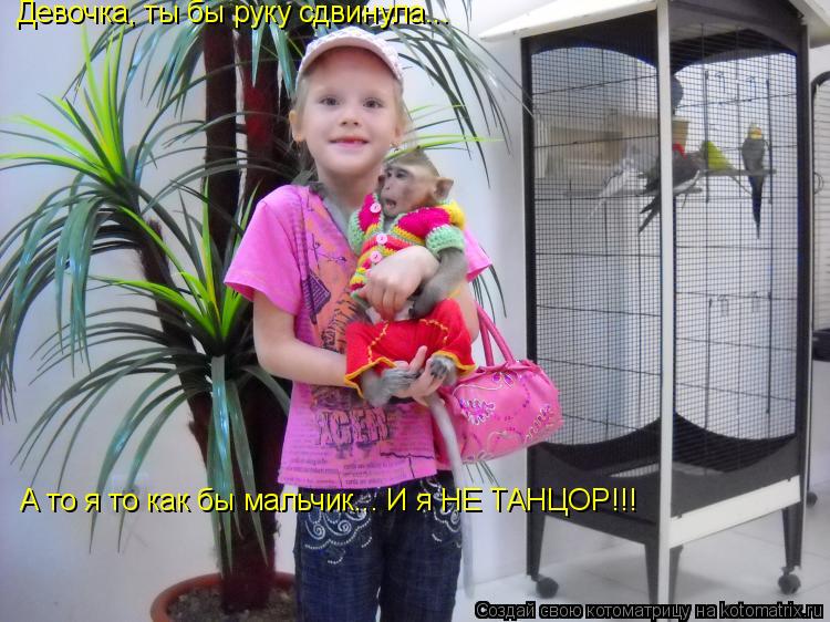 Девочка, ты бы руку сдвинула... А то я то как бы мальчик... И я НЕ ТАНЦОР!!!... Котоматрица: Девочка, ты бы руку сдвинула... А то я то как бы мальчик... И я НЕ ТАНЦОР!!!