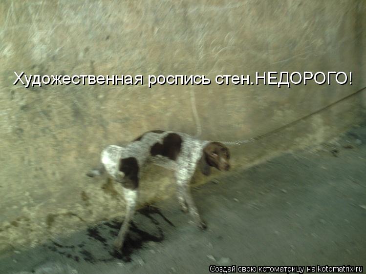 Художественная роспись стен.НЕДОРОГО!... Котоматрица: Художественная роспись стен.НЕДОРОГО!