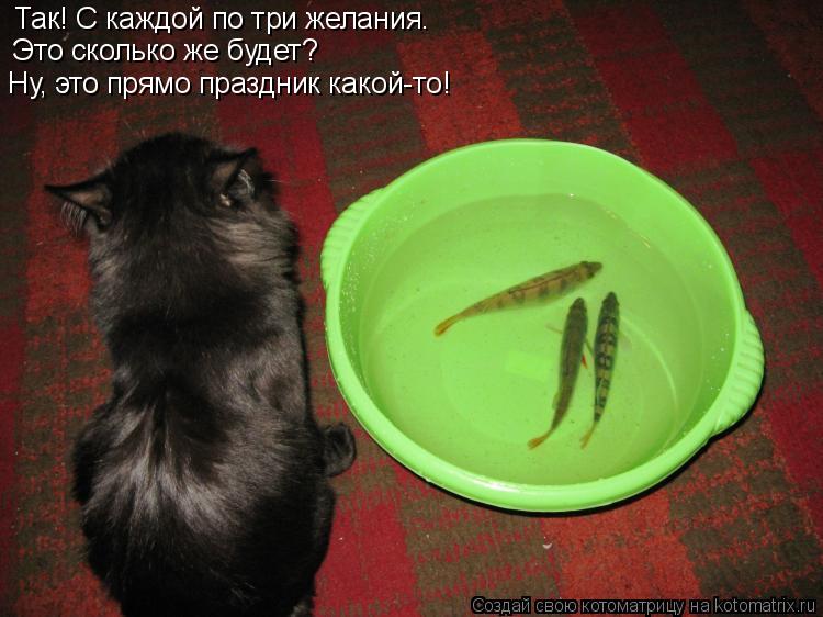 Так! С каждой по три желания. Это сколько же будет? Ну, это прямо праздник какой-то!... Котоматрица: Так! С каждой по три желания. Это сколько же будет? Ну, это прямо праздник какой-то!