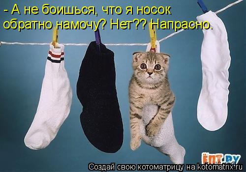 - А не боишься, что я носок обратно намочу? Нет?? Напрасно.... Котоматрица: - А не боишься, что я носок обратно намочу? Нет?? Напрасно.