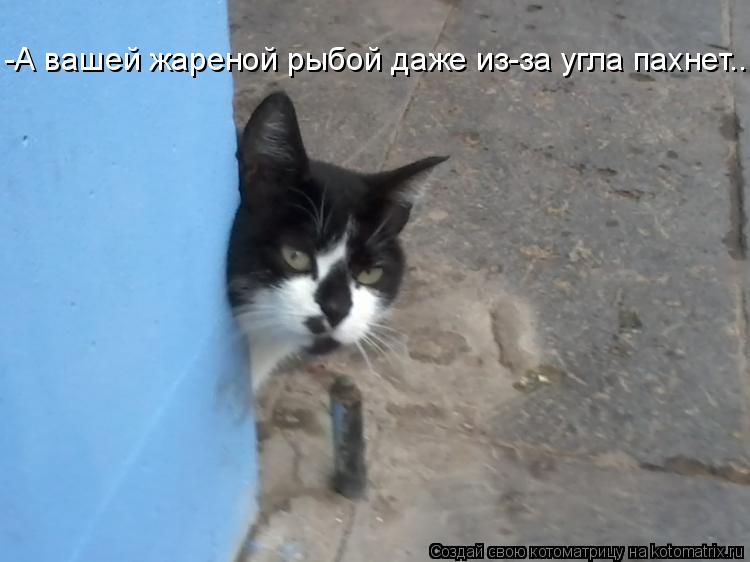 -А вашей жареной рыбой даже из-за угла пахнет...... Котоматрица: -А вашей жареной рыбой даже из-за угла пахнет...
