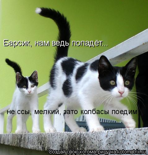 Барсик, нам ведь попадёт... не ссы, мелкий, зато колбасы поедим... Котоматрица: Барсик, нам ведь попадёт... не ссы, мелкий, зато колбасы поедим