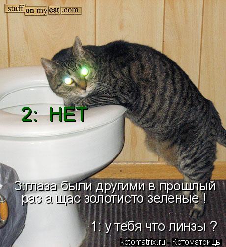 3:глаза были другими в прошлый 1: у тебя что линзы ? 2: НЕТ раз а щас золотисто зеленые ! Да я знаю... Котоматрица: 3:глаза были другими в прошлый 1: у тебя что линзы ? 2: НЕТ раз а щас золотисто зеленые ! Да я знаю ето флюаресценсия !