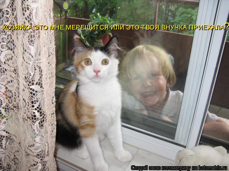 ХОЗЯЙКА,ЭТО МНЕ МЕРЕЩИТСЯ ИЛИ ЭТО ТВОЯ ВНУЧКА ПРИЕХАЛА ХОЗЯЙКА,ЭТО МНЕ МЕРЕЩИТСЯ ИЛИ ЭТО ТВОЯ ВНУЧКА... Котоматрица: ХОЗЯЙКА,ЭТО МНЕ МЕРЕЩИТСЯ ИЛИ ЭТО ТВОЯ ВНУЧКА ПРИЕХАЛА ХОЗЯЙКА,ЭТО МНЕ МЕРЕЩИТСЯ ИЛИ ЭТО ТВОЯ ВНУЧКА ПРИЕХАЛА ?