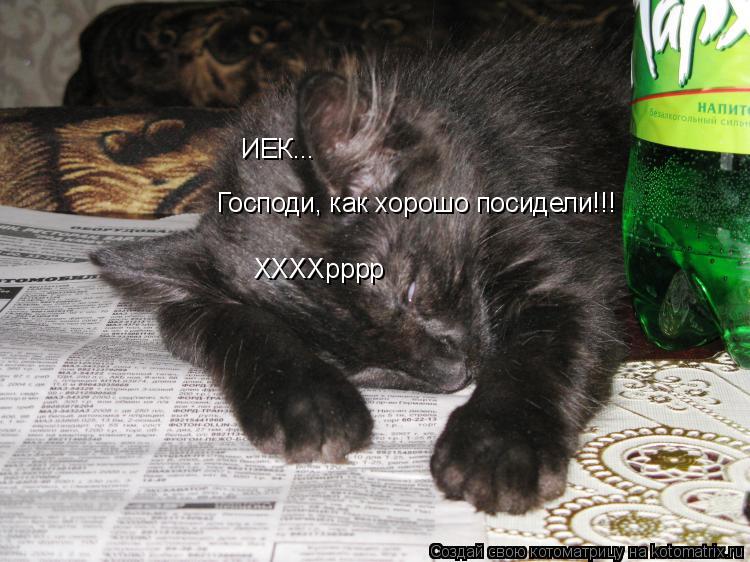 Господи, как хорошо посидели!!! ИЕК... ХХХХрррр... Котоматрица: Господи, как хорошо посидели!!! ИЕК... ХХХХрррр