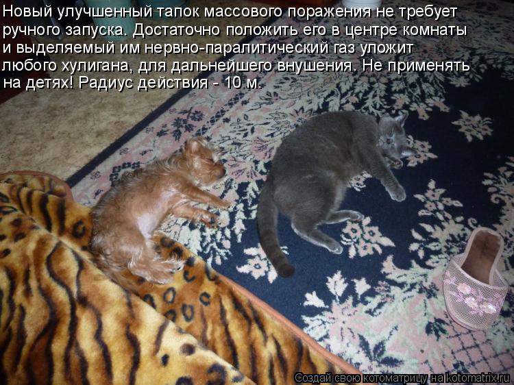 на детях! Радиус действия - 10 м. любого хулигана, для дальнейшего внушения. Не применять и выделяемы... Котоматрица: на детях! Радиус действия - 10 м. любого хулигана, для дальнейшего внушения. Не применять и выделяемый им нервно-паралитический газ уложит ру