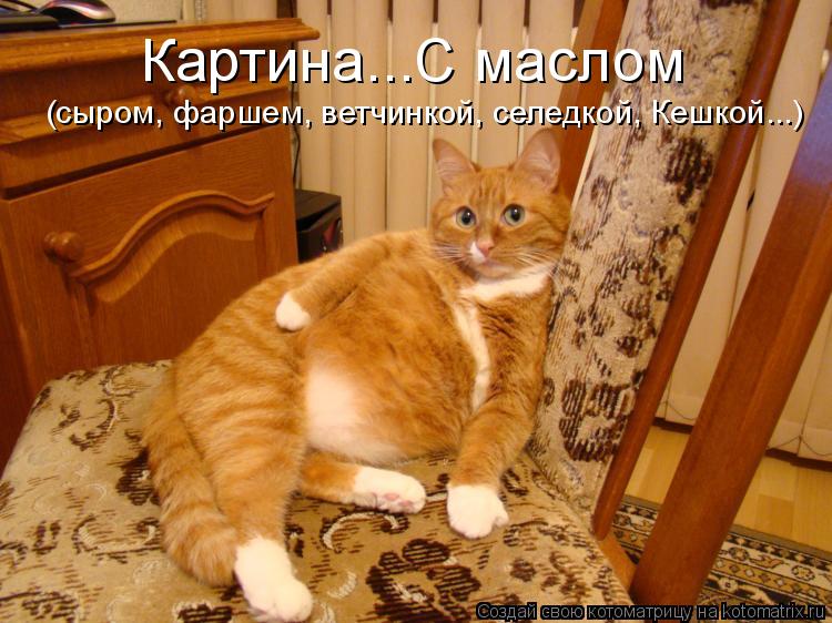 Картина...С маслом (сыром, фаршем, ветчинкой, селедкой, Кешкой...)... Котоматрица: Картина...С маслом (сыром, фаршем, ветчинкой, селедкой, Кешкой...)