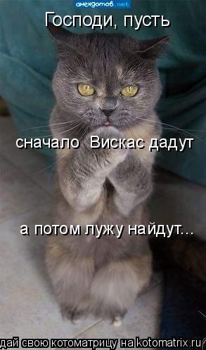 Господи, пусть сначало Вискас дадут а потом лужу найдут...... Котоматрица: Господи, пусть сначало Вискас дадут а потом лужу найдут...