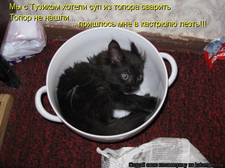 Мы с Тузиком хотели суп из топора сварить Топор не нашли... ... пришлось мне в кастрюлю лезть!!!... Котоматрица: Мы с Тузиком хотели суп из топора сварить Топор не нашли... ... пришлось мне в кастрюлю лезть!!!